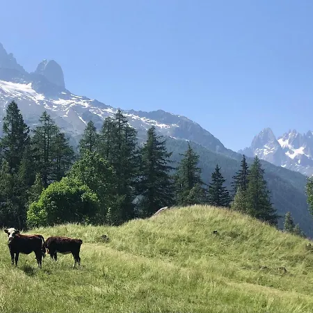 Arolles Шамоні