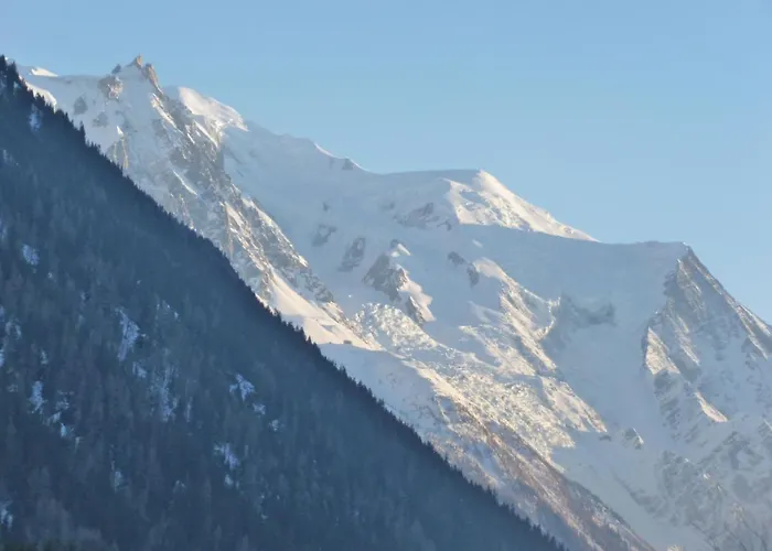 Arolles Апартаменти Шамоні